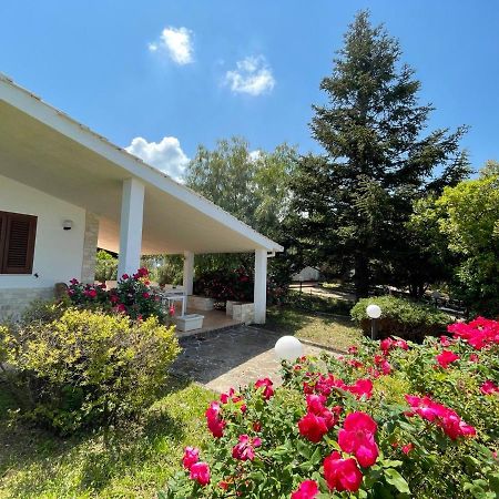 Villa Rose Country Cassano delle Murge Exterior foto